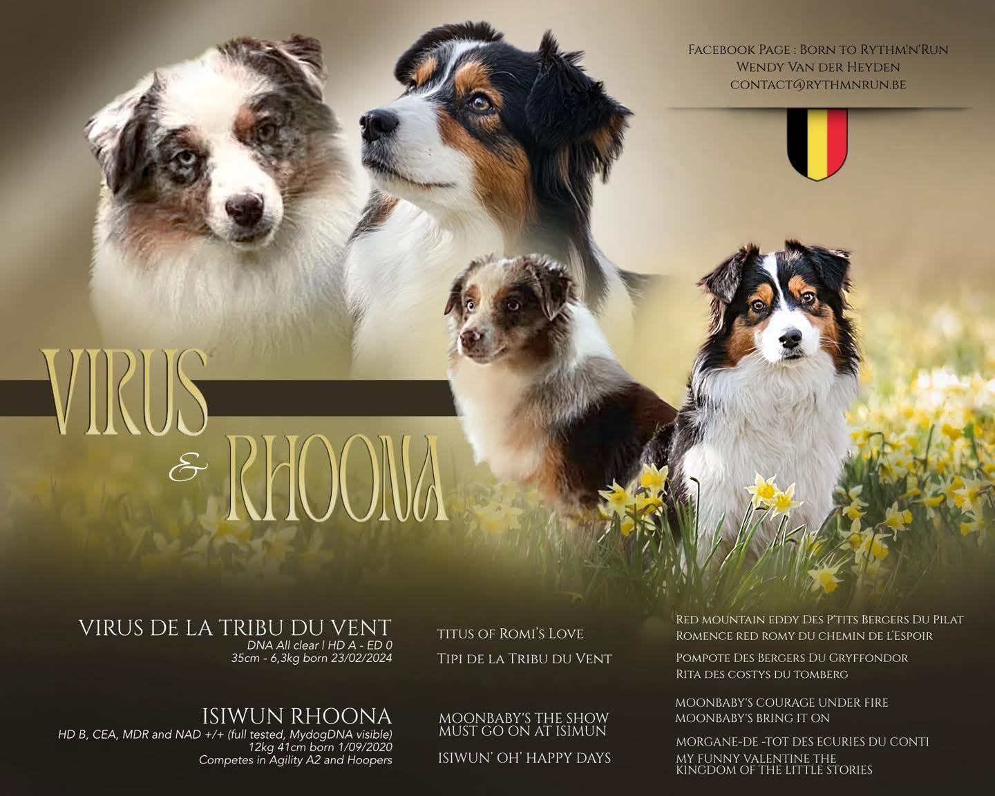 Affiche de la portée Rhoona et Virus